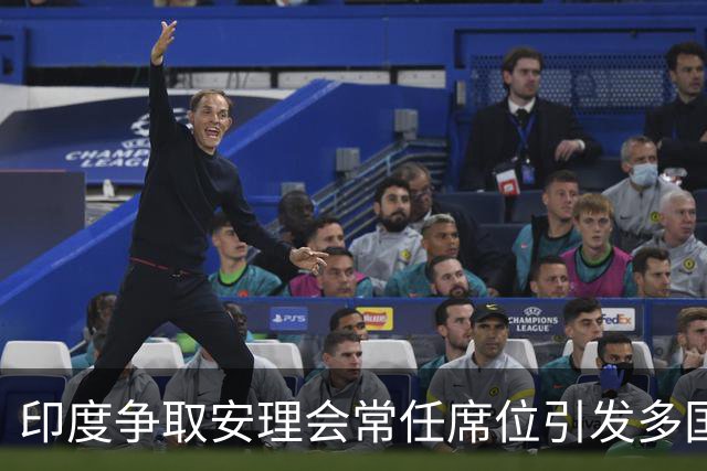 印度争取安理会常任席位引发多国声援，形势复杂