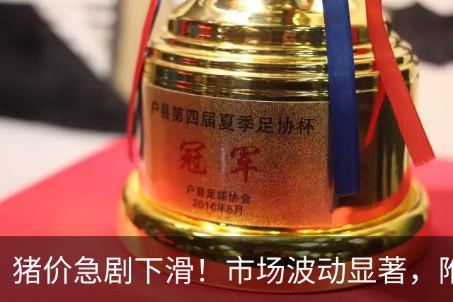 猪价急剧下滑！市场波动显著，附8月28日数据
